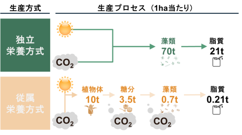 第3図 藻類の生産方式の違い