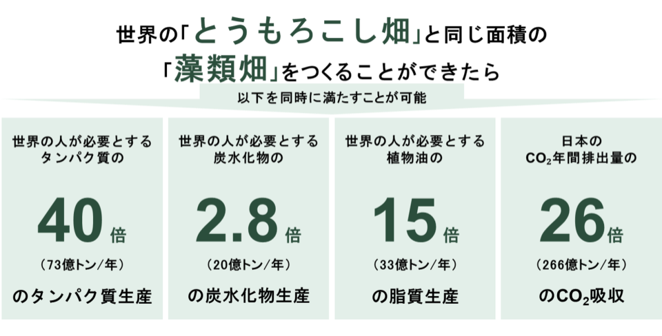 第2図 藻類を大規模生産した場合の試算